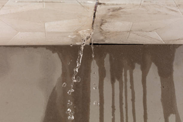 Professional Structural Drying technician working in Alger, OH